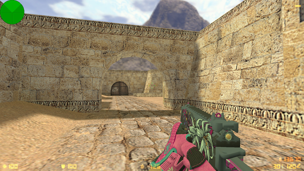 CS 1.6 Vice