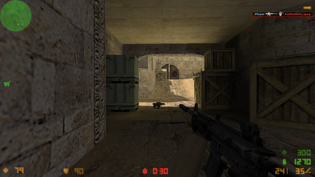 CS 1.6 с защитой