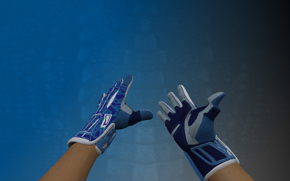 «Пак ★ Спортивные перчатки | Амфибия» для CS 1.6