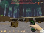 Превью 3 – aim_bullpup_2