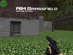 Превью 3 – aim_grassfield