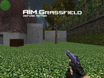 Превью 6 – aim_grassfield