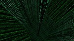 Превью 4 – gg_lamatrix_chile