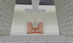 Превью 1 – gg_minecraftministone