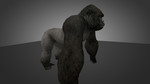 Превью 2 – Little Gorilla
