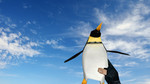 Превью 1 – Граната «Пингвин»