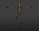 Превью 2 – Скелеты